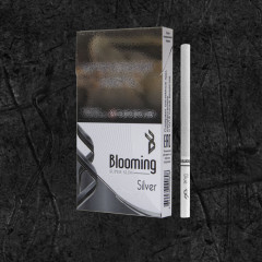 Сигареты Блюминг Сильвер (Blooming Silver)